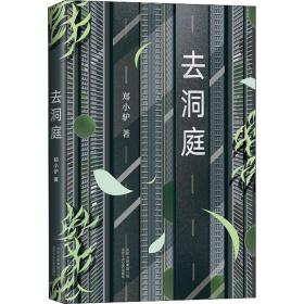 新华正版 去洞庭 郑小驴 9787530218914 北京十月文艺出版社 2019-05-01