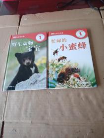 DK 儿童目击者 第一级（野生动物宝宝、 忙碌的小蜜蜂），共两册合售