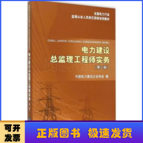 电力建设总监理工程师实务