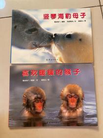 蒲蒲兰绘本馆·亲子摄影绘本：竖琴海豹母子，喜欢暖暖的猴子 2本