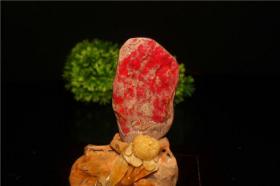 （特级精品）昌化 大红袍 鸡血石  春景图   摆件   尺寸：12cm3cm8cm， 这块像是刚刚宰杀的鸡血，非常鲜艳，流动性好，市场价5000以上，众所周知，昌化已经封矿，意味着鸡血石已经真正绝产，同时对石头来说升值潜力也是更大，现在行情低迷，正是投资的最佳时机，有眼光的石友看到这种宝贝会果断下手的！