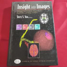 insight into images