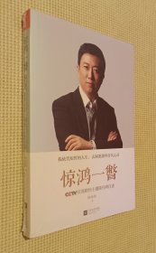 惊鸿一瞥：CCYV首席财经主播陈伟鸿自述