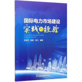 国际电力市场建设实践与经验 水利电力 范孟华 杨素 张凡