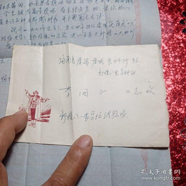 新疆八一農學院實驗場楊友華寫給在海南島崖縣崖城農科所新疆八農育種組李國正的一封信，1974年1月9日