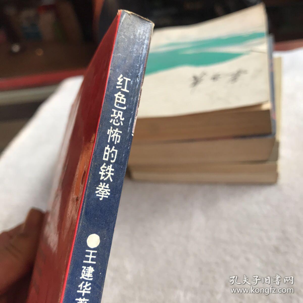 红色恐怖的铁拳中共中央特科纪实