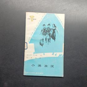 小图书馆丛书小流浪汉