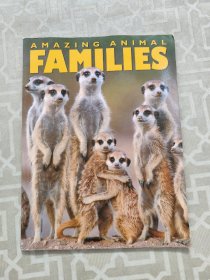 Amazing Animal Families