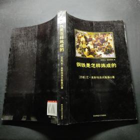 钢铁是怎样炼成的