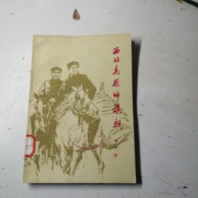 西北高原帅旗飘，