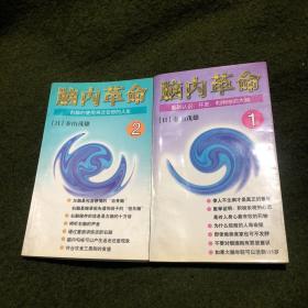 脑内革命 第一卷:重新认识、开发、利用你的大脑+第二卷:右脑的使用将改变你的人生(1、2共两册)