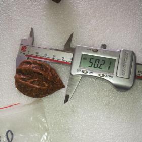 开始变红的东北秋子20