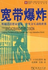 宽带:听前沿思想家预见一个充分互动的世界沈满琳