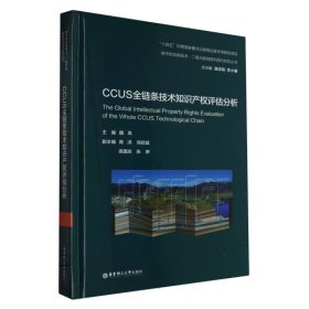 CCUS全链条技术知识产权评估分析(精)/碳中和负碳技术二氧化碳地质利用与封存丛书 华东理工大学 9787562872832 编者:魏凤|责编:赵子艳|总主编:庞忠和//李小春