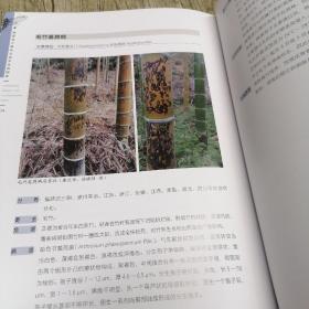 福建省主要林业有害生物图鉴
