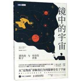 镜中的宇宙:消失的粒子与幸存的世界 自然科学 []村山齐 新华正版