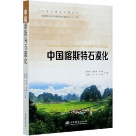 【正版书籍】中国喀斯特石漠化