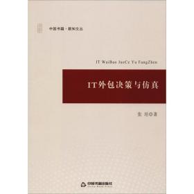 it外包决策与仿真 经济理论、法规 张培