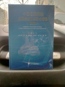 中国互联网站发展状况及其安全报告（2020）