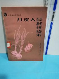 红皮大蒜栽培技术