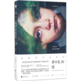 看不见的爱 杨泱 9787559600059 北京联合出版有限责任公司
