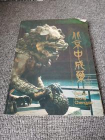 北京中成药