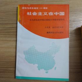 社会主义在中国 从毛泽东的中国式到邓小平的中国特色