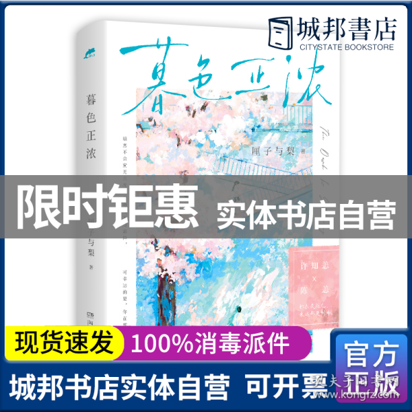 暮色正浓（言情黑马作者厘子与梨 暗恋文高口碑代表作）