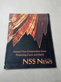 NSS NEWS April 2008