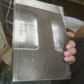 离开前请叫醒我