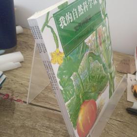 我的自然科学课全4册如何养小动物昆虫水生物种蔬菜正版儿童科普