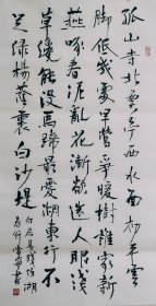 三尺整张行书作品50厘米X100厘米横幅毛笔手写 标价即为实价 古诗 白居易钱塘湖春行