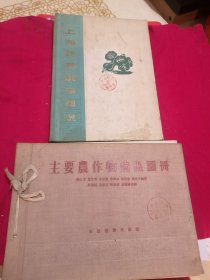 上海蔬菜病虫图说，主要农作物病虫图册（两本合售）