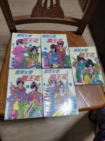 卡通漫画32K:霹雳女警霸王花（1、2、3、4、5）
