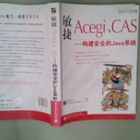 【正版图书】敏捷Acegi.CAS-构建安全的Java系统罗时飞9787121038884电子工业出版社2007-04-01