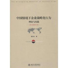 新华正版 中国情境下企业战略化行为 潘安成 9787301197493 北京大学出版社