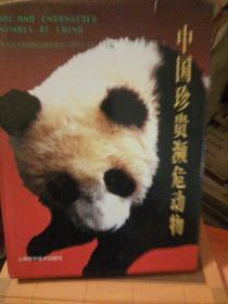 中国珍贵濒危动物