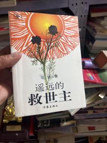 遥远的救世主豆豆