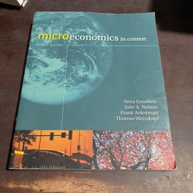MicroeconomicsinContext