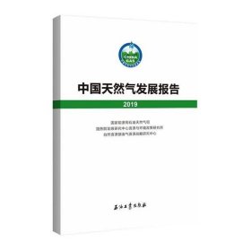 正版书中国天然气发展报告2019