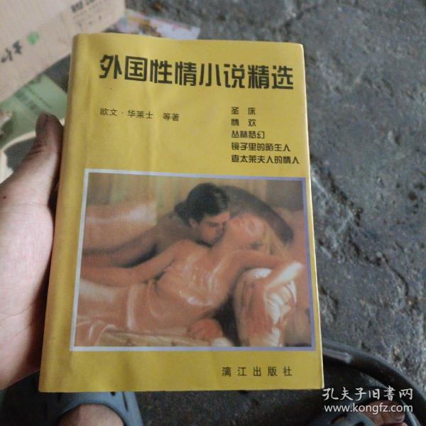 性情小说