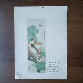 年画缩样：荷花双猫（刘奎令绘，五十年代，32开）