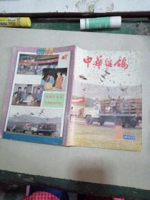 中华信鸽 1993年6月