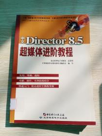 中文Director 8.5超媒体进阶教程（精装本）
