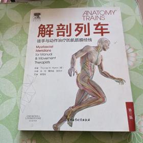 解剖列车——徒手与动作治疗的肌筋膜经线：第三版