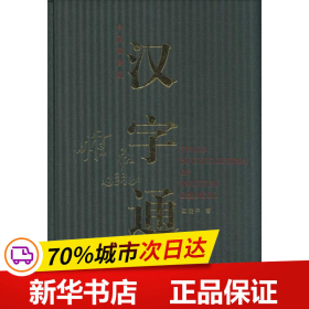 保正版！汉字通9787547306291上海东方出版中心顾建平