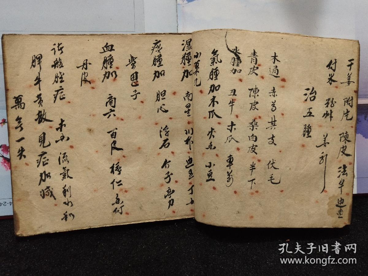 中医药方手抄本药书医书跌打损伤药方药膏方外科伤科63个筒子页419