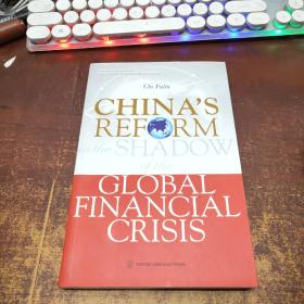 中国信心：全球危机下的中国改革 CHINA’S REFORM in the Shadow of the Global Financial Crisis