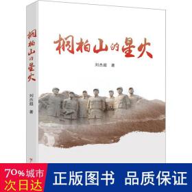桐柏山的星火  历史、军事小说 刘杰超 新华正版