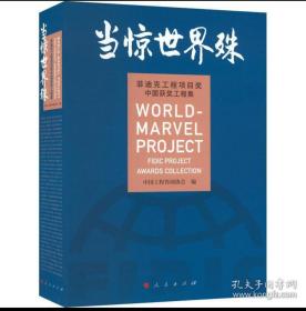 当惊世界殊菲迪克工程项目奖中国获奖工程集